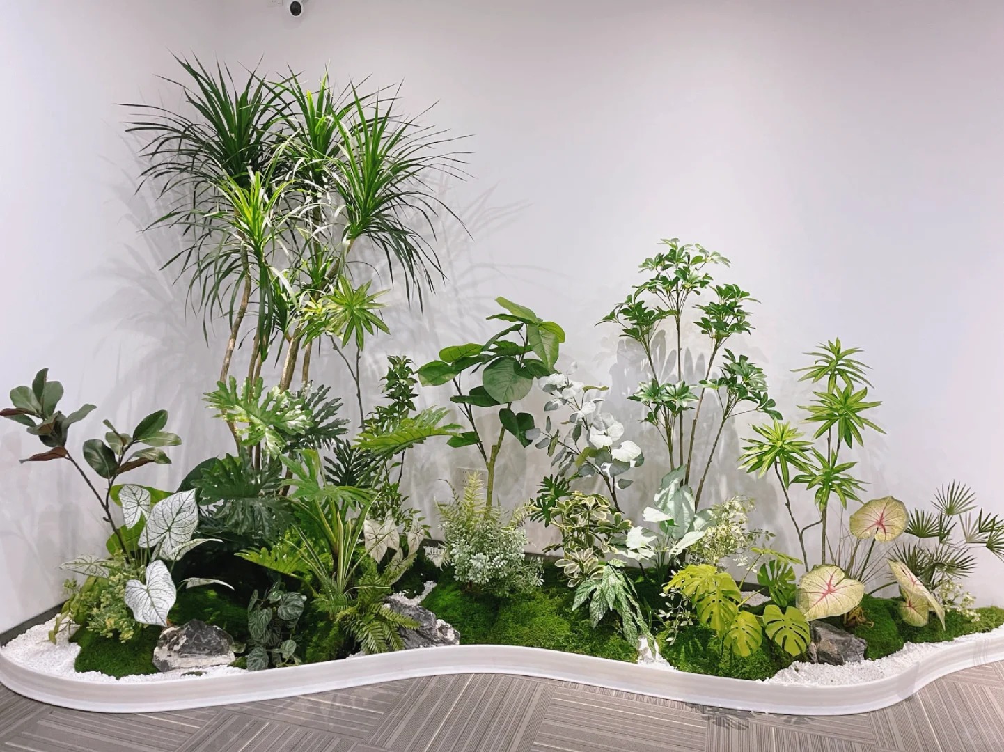 专业盆景租赁,慈溪这里的选择超棒!